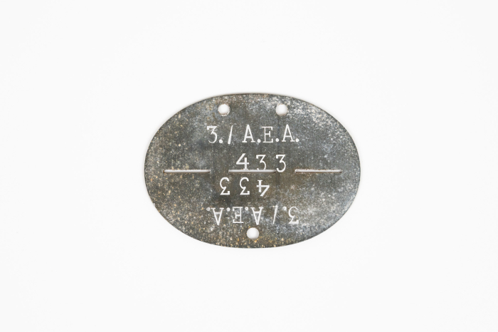 SS VT dog tag on two sided Verfugungstruppe disc