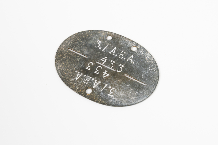 SS VT dog tag on two sided Verfugungstruppe disc