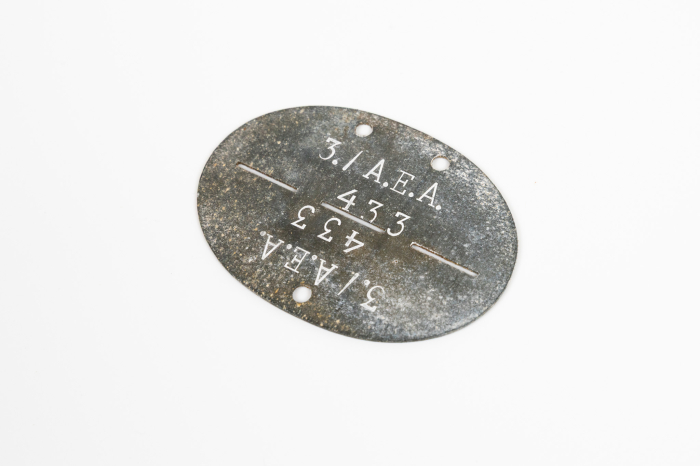 SS VT dog tag on two sided Verfugungstruppe disc