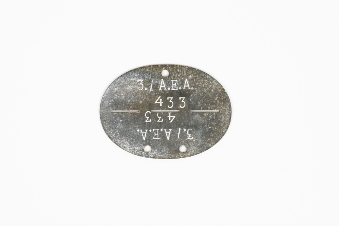 SS VT dog tag on two sided Verfugungstruppe disc